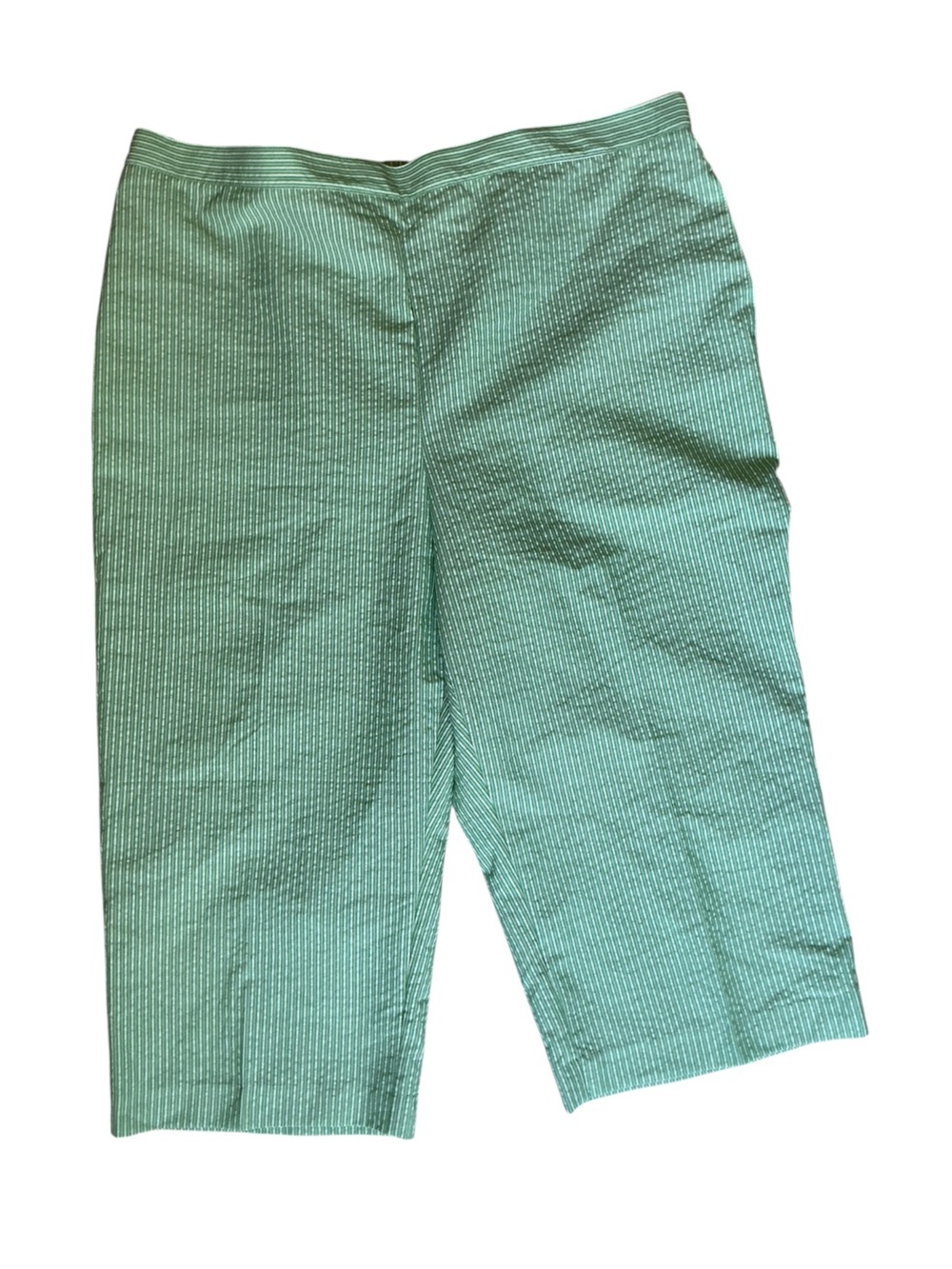 Alfred dunner Women’s Green Striped Stretch Shorts